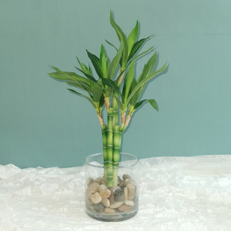 Desk Setup Green - New 40cm rFtificial Lucky Bamboo Succulent