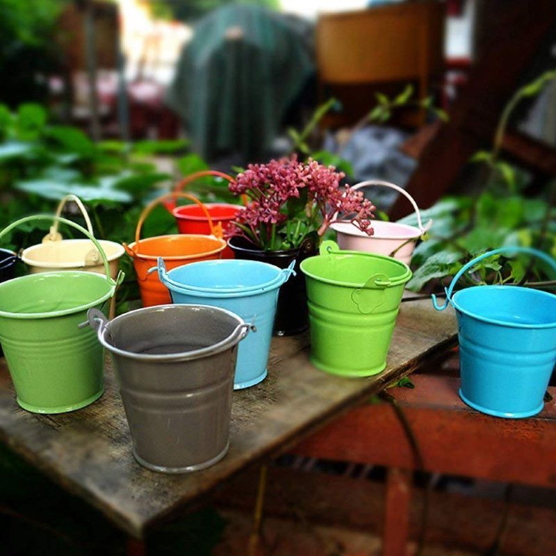 12pcs Planter for Flowers Mini - Desk Setup Green 评论和价格