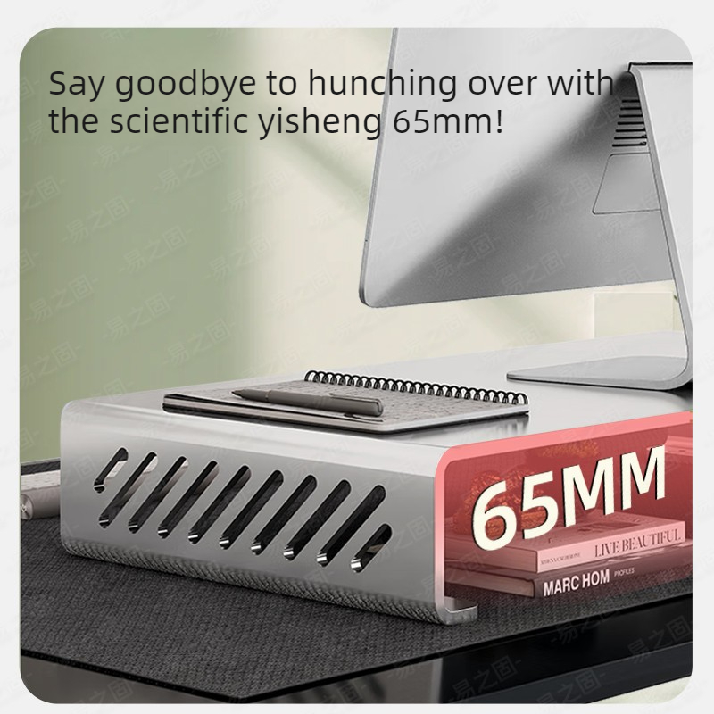 Computer Monitor Stand Riser E - Desk Setup For Laptop And Monitor 评论和价格